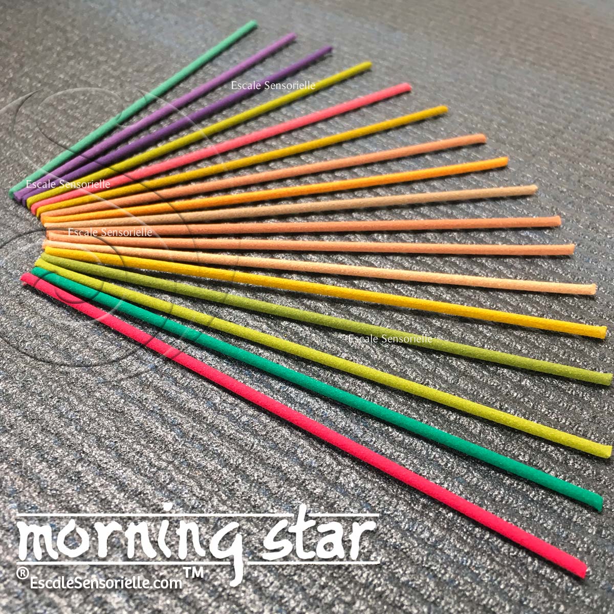 Ensemble d'encens japonais Morning Star disposés en éventail