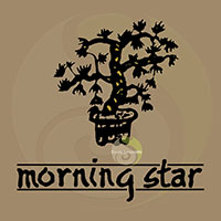 Morning Star Oliban (Frankincense)
