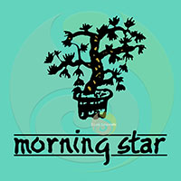 Morning Star Gardénia