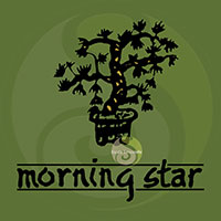 Morning Star Thé Vert