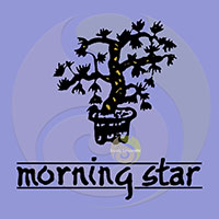 Morning Star Lavande