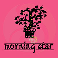 Morning Star Lotus
