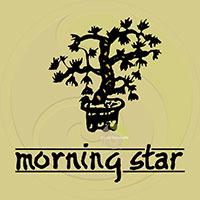 Morning Star Palo Santo