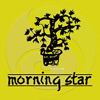 Morning Star Patchouli