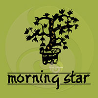 Morning Star Pin