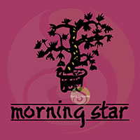 Morning Star Rose