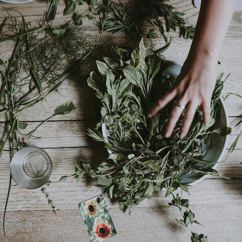mélange de plantes chamaniques