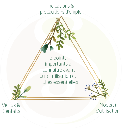 3 choses à savoir sur les huiles essentielles