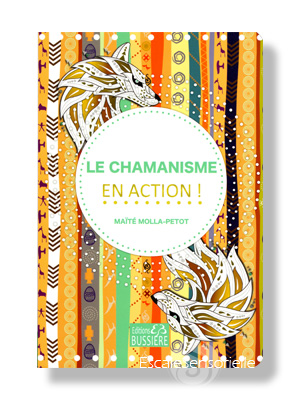 Livre Chamanisme en action aux éditions Bussière