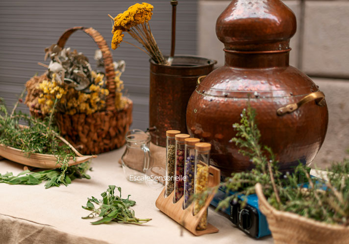 Livre aromathérapie