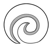 Symbole maori fougère (Koru)