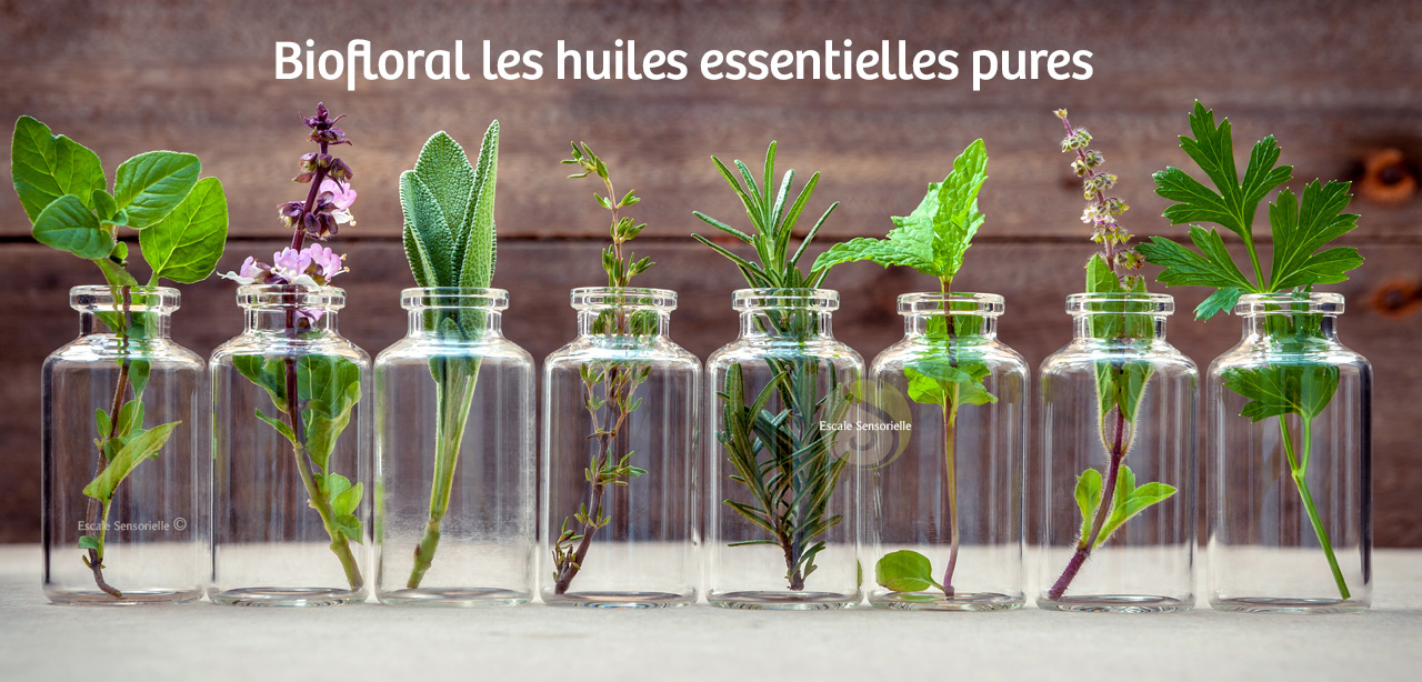 Huiles essentielles Bio