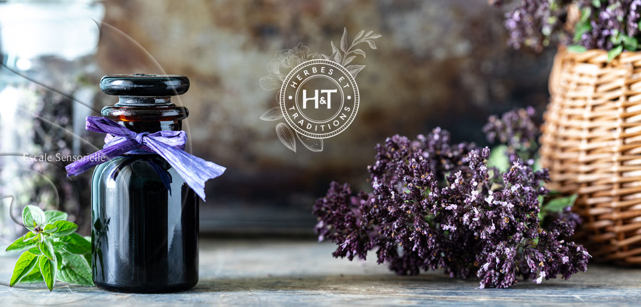 Herbes et traditions
