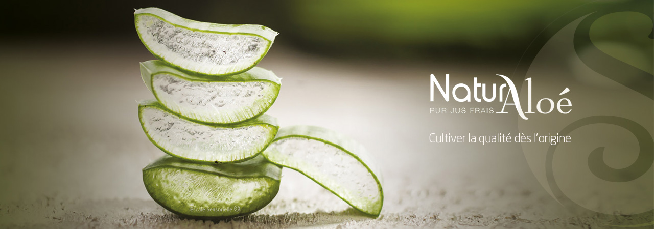 Naturaloé cosmétique aloé vera