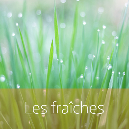 Bougies naturelles fraîches